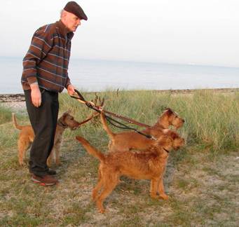 25.9. Fehmarn Jan und das Trio.jpg