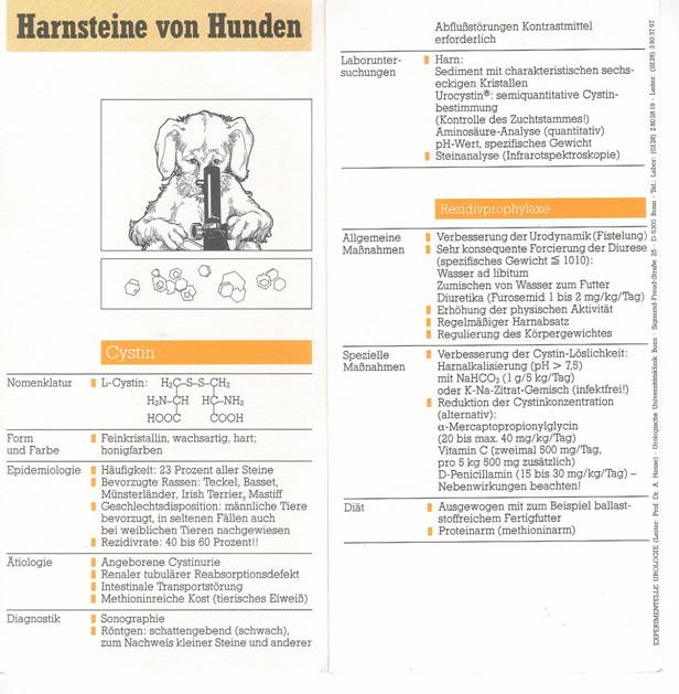 Harnstein von Hunden