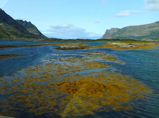 218.Lofoten f.jpg