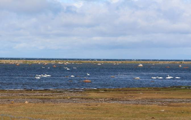 26.7.Öland3.jpg