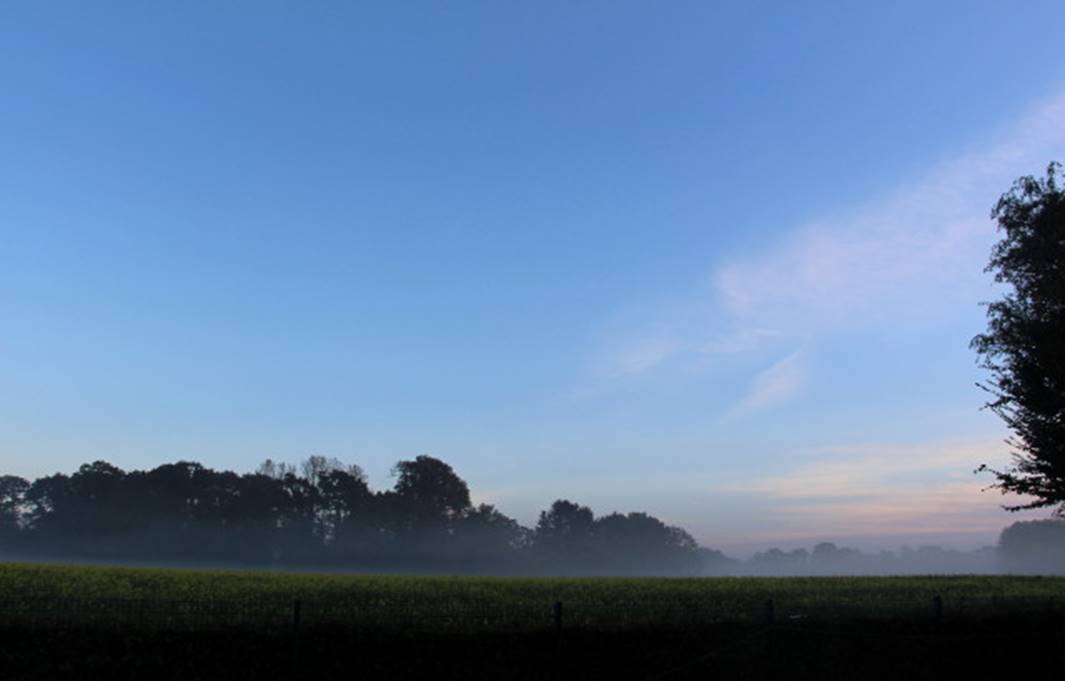 14.10.Herbstmorgen.jpg