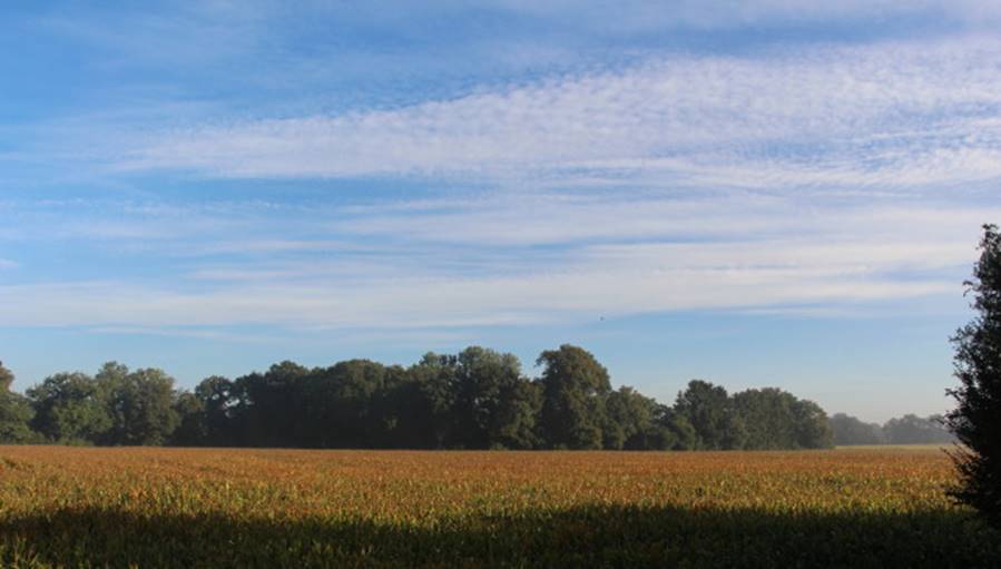 27.9.Herbstmorgen_5.jpg