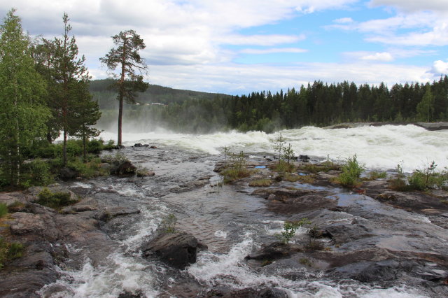 19.6.Storforsen-Pitelv1.jpg