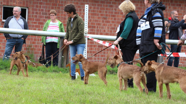 12.9.Amy,Nessie,Felix,Eddy.jpg