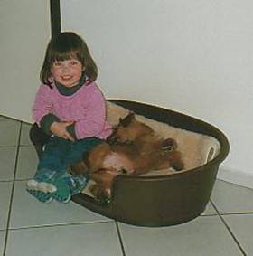 A young breeder with puppies