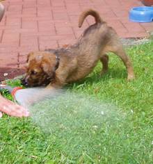 playing with water