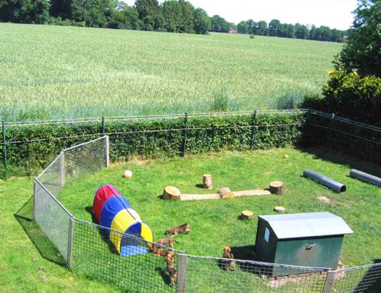 garden in Menslage