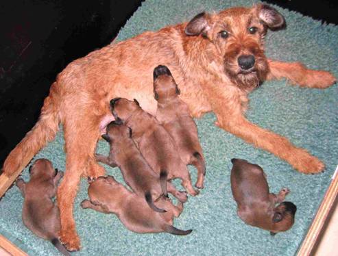 these ars mine stella thinks