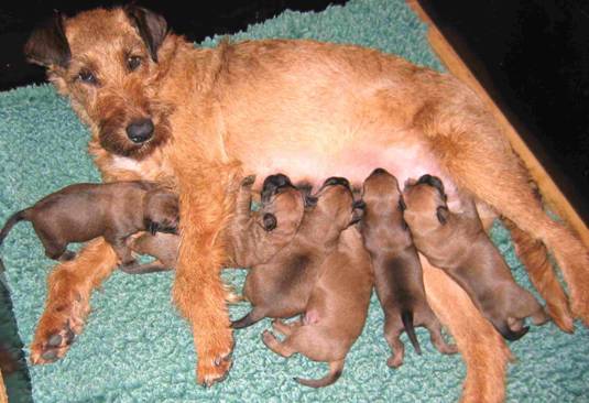 stella is a good mother