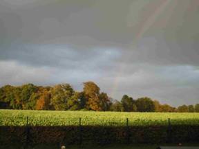 autumn in Menslage