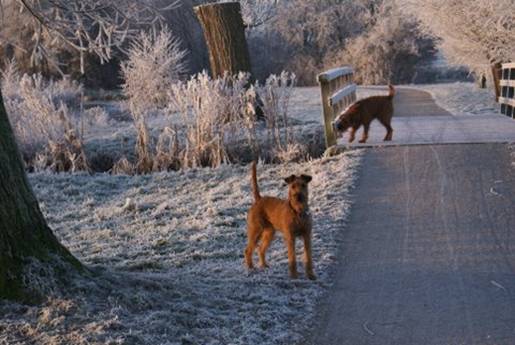 James  in winter