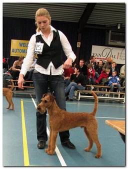 Oliver James at the show in Wijchen