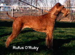 Rufus O'Ruby from the right