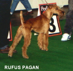 rufus pagan at a show