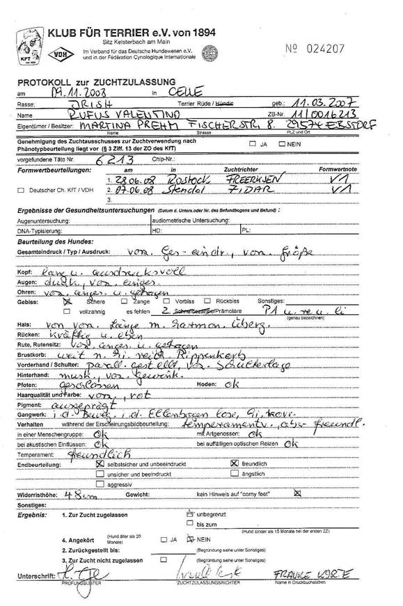 Zuchtzulassung von Rufus Valentino
