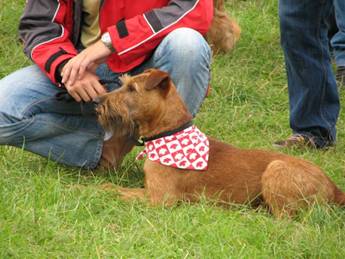 Rufus Unchain my Heart 3