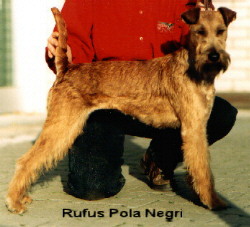 Rufus Pola Negri
