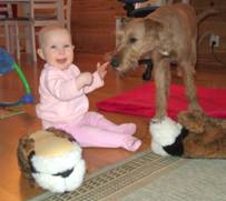 Sara plays with Irish Terrier